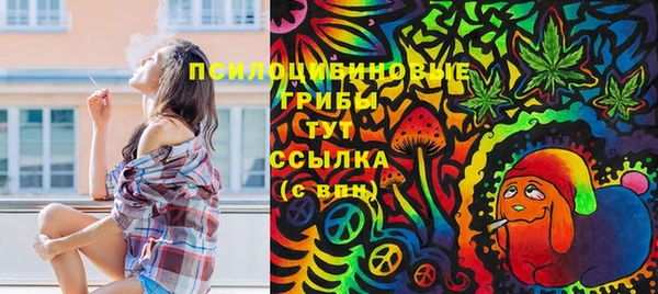 эйфоретик Сатка