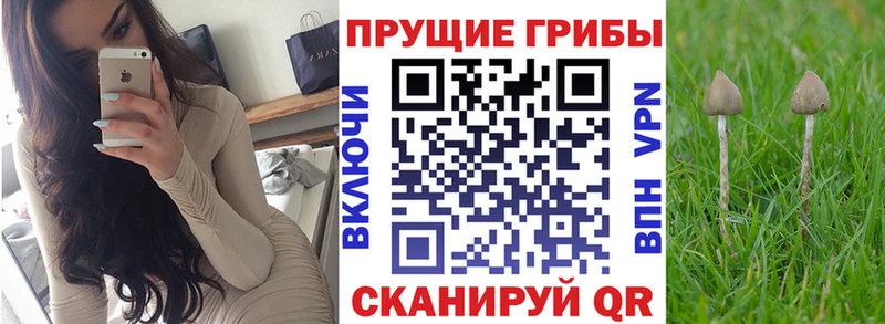 Псилоцибиновые грибы ЛСД  Алексин 